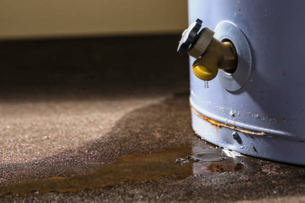 Best Water damage cleanup near me  in Wadsworth, OH