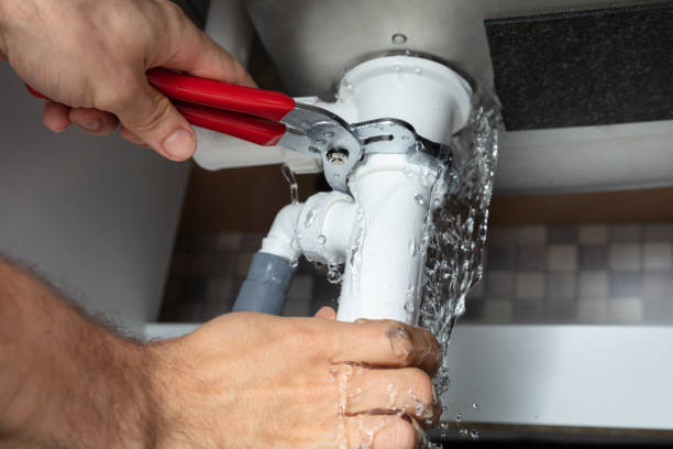 Best Professional water damage repair  in Wadsworth, OH