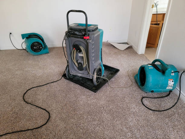 Best Water damage restoration near me  in Wadsworth, OH