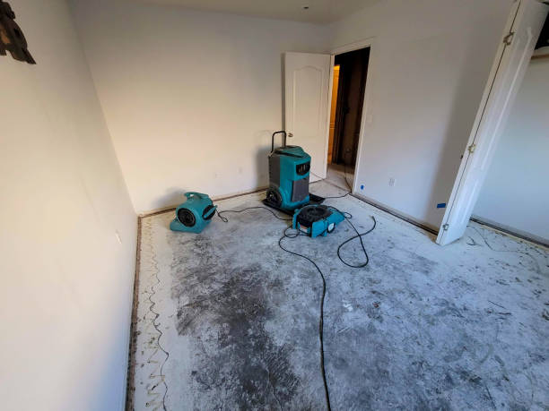 Best Water damage restoration process  in Wadsworth, OH