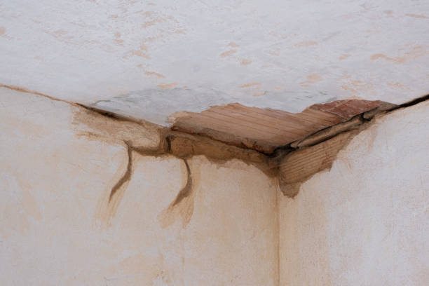 Best Water damage contractors near me  in Wadsworth, OH