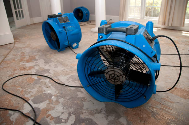 Best Flooded house restoration  in Wadsworth, OH