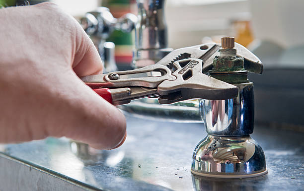 Best Flood restoration services  in Wadsworth, OH