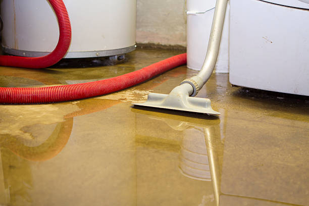 Best Water damage restoration cost  in Wadsworth, OH