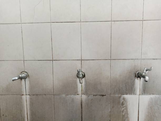 Best Flooded house restoration  in Wadsworth, OH